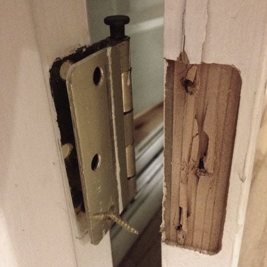 continuous door hinge