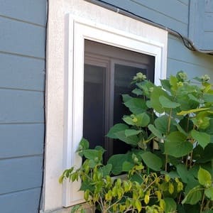 viewguard window guard