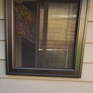 viewguard window guard